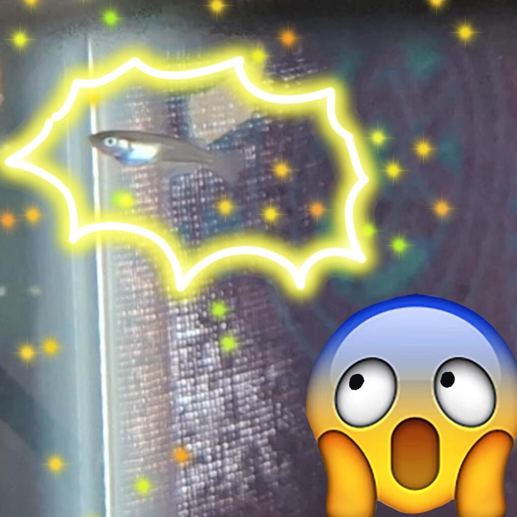 Surprised emoji and glowing fish flying in the night sky